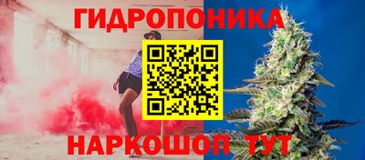 скорость Обнинск
