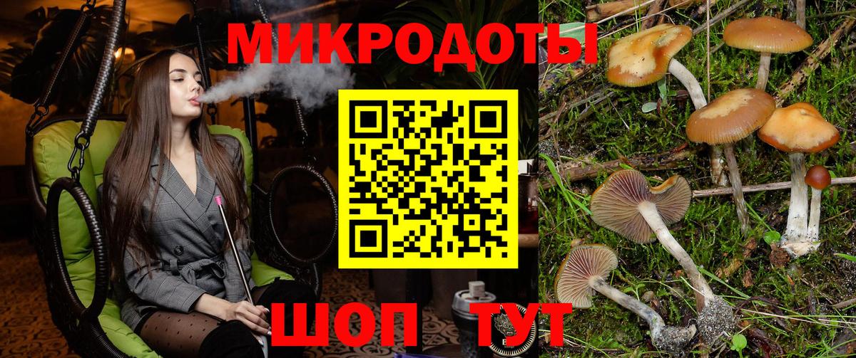 Псилоцибиновые грибы Psilocybine cubensis Сатка