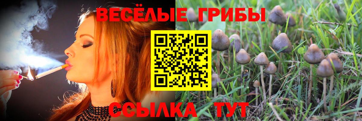 Сатка  Псилоцибиновые грибы прущие грибы  Вход с VPN 